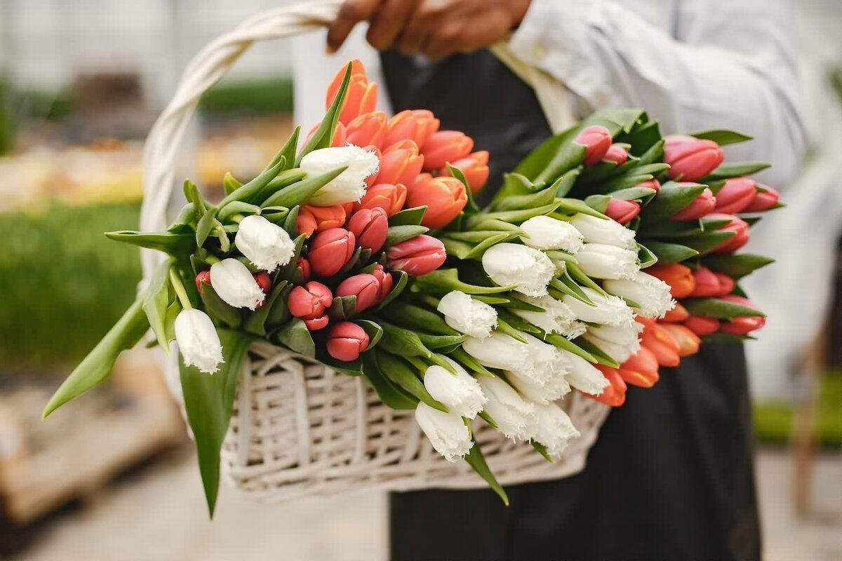 Playfina - Blumenlieferung, die Freude und Schönheit in Ihr Leben bringt